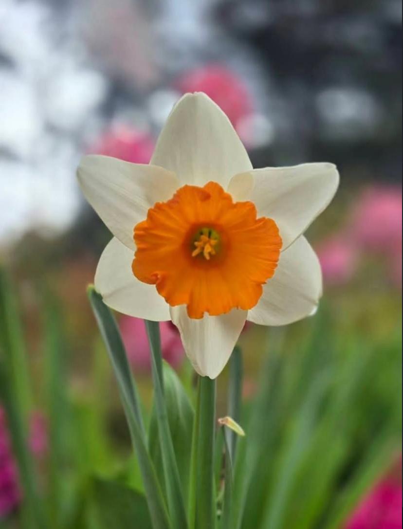 Spring is Coming! – May 3, 2026