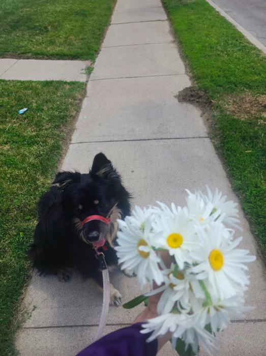 A Thoughtful Gift from Neighbours Marlene and Chuck – June 27, 2026